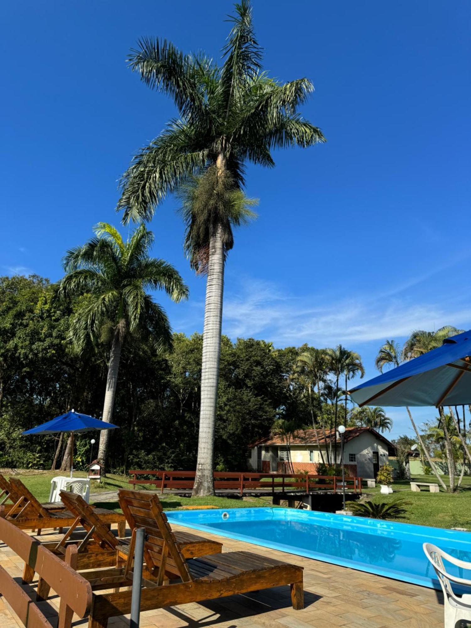 Tapera Penedo (Rio de Janeiro)